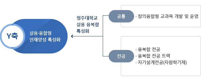 Y축 실용융합형 인재양성 특성화 / 청주대학교 실용융복합 특성화 / 공통 : 창의 융합형 교과목 개발 및 운영 / 전공 : 융복합전공, 융복합 전공 트랙, 자기설계전공(자람학기제)